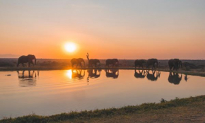  Jabulani Safari  Hoedspruit